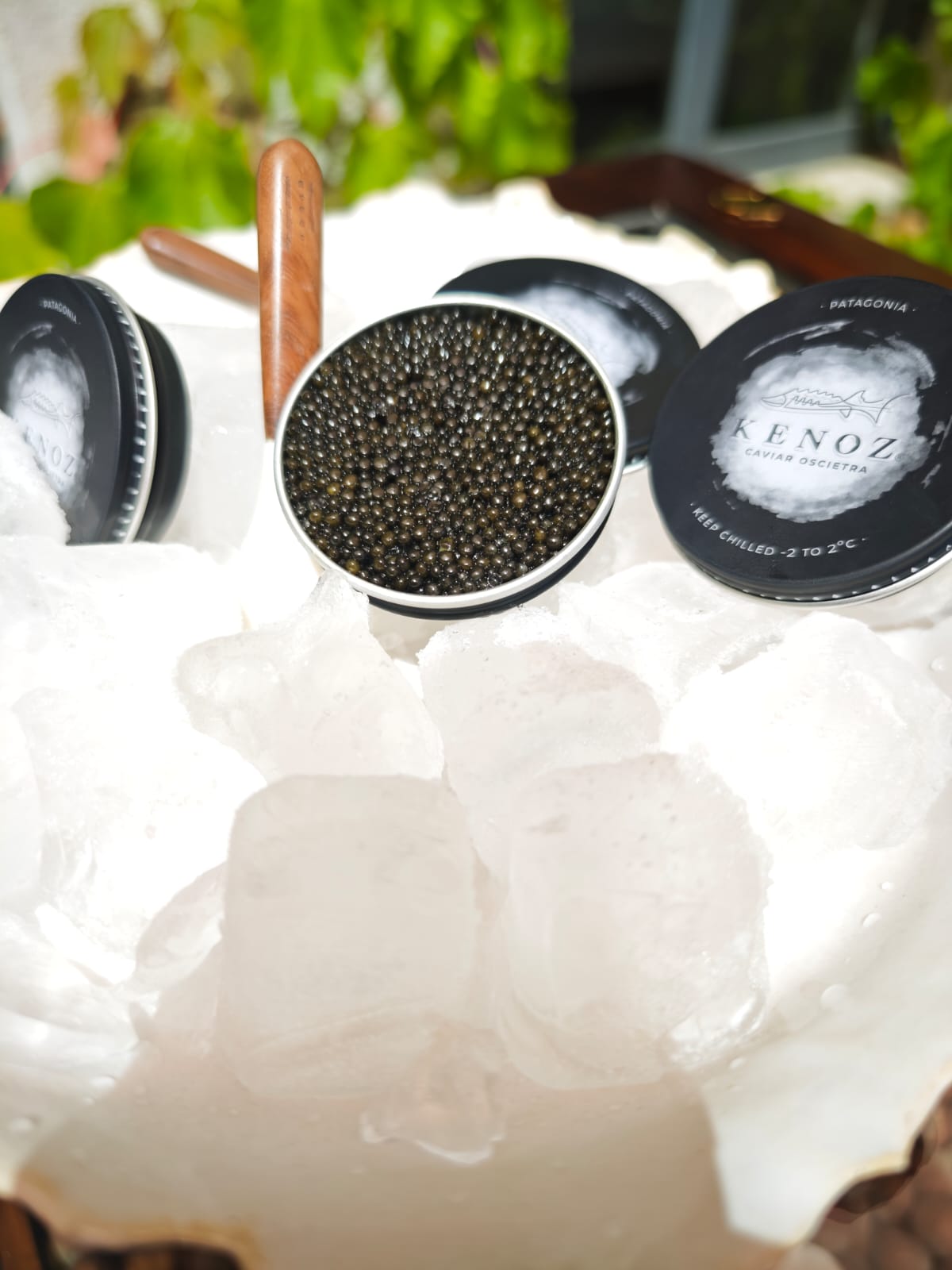 Caviar Osetra — Kenoz (15 g)
